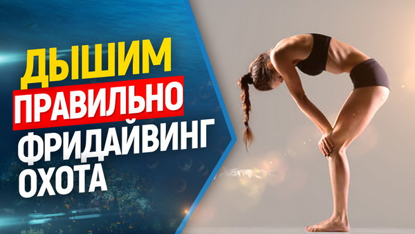 дыхание фридайвинг подводная охота